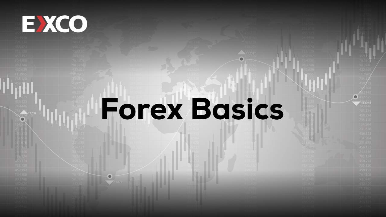 Forex Basics - Course